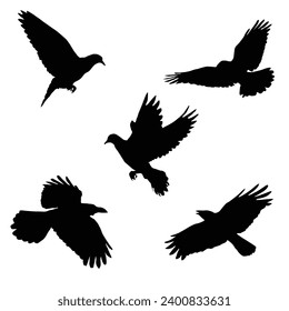 Vector silhouette flying birds on white background. Tattoo