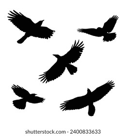 Vector silhouette flying birds on white background. Tattoo