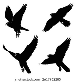 Vector silhouette flying birds on white background