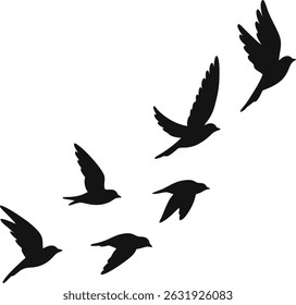 Vector silhouette flying birds on white background. 