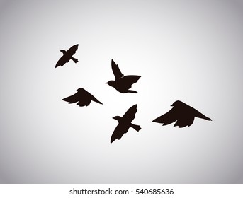 Vector silhouette flying birds on white background. Tattoo