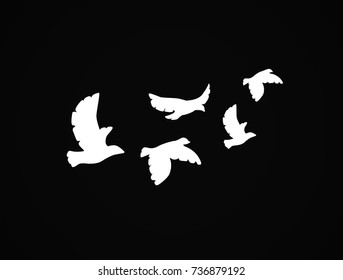 Vector silhouette flying birds on white background. Tattoo