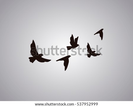 Vector silhouette flying birds on white background. Tattoo Foto stock © 