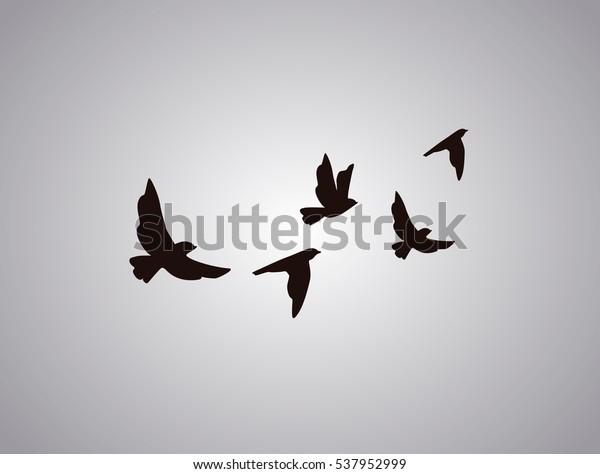 Vector silhouette flying birds on white\
background. Tattoo