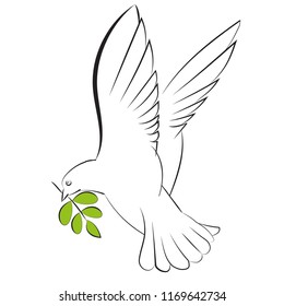 Vector silhouette of a flying dove with olive branch on a white background. Hand drawn illustration.