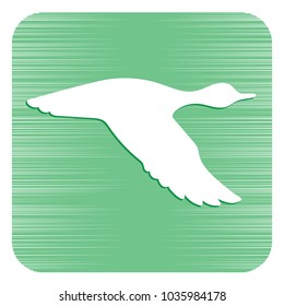 Vector silhouette flying duck. Vector illustration