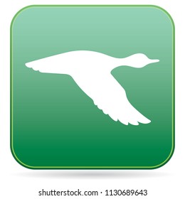 Vector silhouette flying duck. Vector illustration