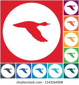 Vector silhouette flying duck. Vector illustration