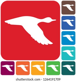 Vector silhouette flying duck. Vector illustration