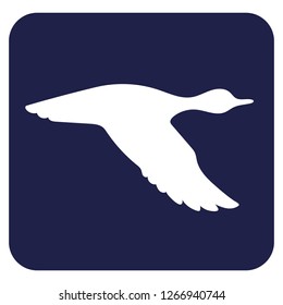 Vector silhouette flying duck. Vector illustration