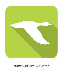 Vector silhouette flying duck. Vector illustration