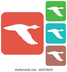 Vector silhouette flying duck. Vector illustration