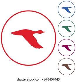 Vector silhouette flying duck. Vector illustration