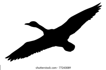silueta vectorial patos voladores sobre fondo blanco