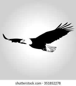 Vector silhouette flying eagle.