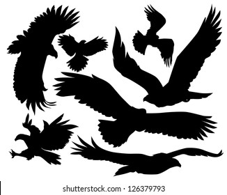 Vector silhouette of a flying eagles