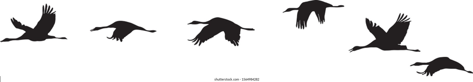 Vector Silhouette of Flying Geese