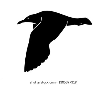 Vector silhouette of flying seagull isolated on white background