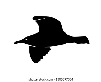 Vector silhouette of flying seagull isolated on white background