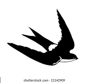 vector silhouette flying swallows on white background