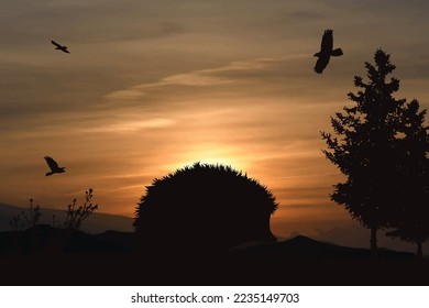 Vector silhouette of forest with hedgehog on sunset background. Symbol of small animal and nature.
