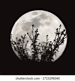 Vector silhouette of forest with moon background. Symbol of night.