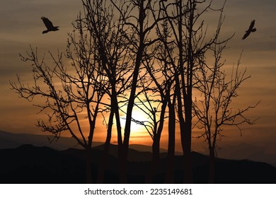 Vector silhouette of forest on sunset background. Symbol of landscape and autumn.
