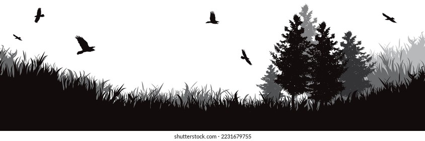 Vector silhouette of forest on white background. Symbol of nature and wild.