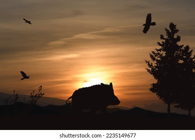 Vector silhouette of forest with wild boar on sunset background. Symbol of hunt and nature.