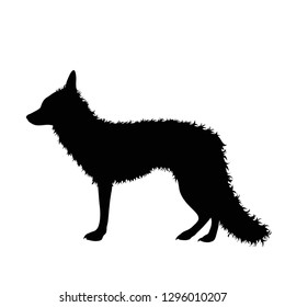 Vector silhouette of fox on white background.