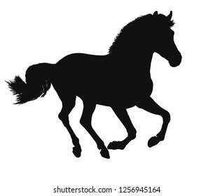 Vector silhouette of a freely cantering horse.