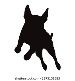 Vector silhouette of french bulldog on white background. Symbol of pet and dog.