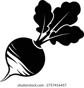 Vector silhouette of a fresh beetroot vegetable with leaves design