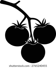 Vector silhouette fresh ripe tomatoes on a vine branch organic food design