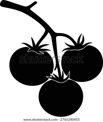 Vector silhouette fresh ripe tomatoes on a vine branch organic food design