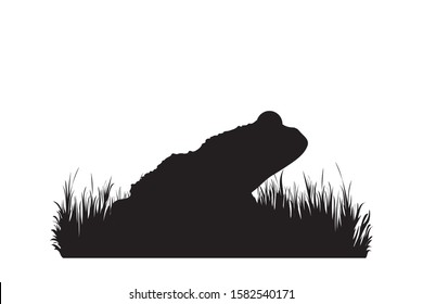 Vector silhouette of frog in the grass on white background. Symbol of animal, lake, river, wild, nature, park, garden.