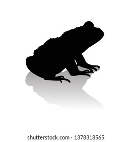 Vector silhouette of frog on white background.Symbol of animal and nature.