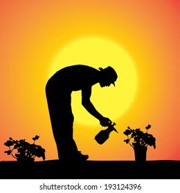 Vector silhouette of a gardener in the garden at sunset.