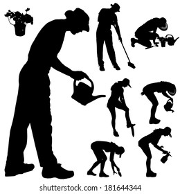 Vector silhouette of a gardener on white background. 