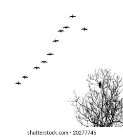 vector silhouette geese in sky and crow on tree