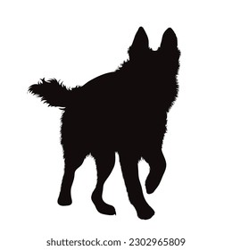 Vector silhouette of Germam Shepherd on white background. Symbol of dog and pet.