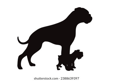 Vector silhouette of German boxer and small Schnauzer on white background. Symbol of pet and dog.