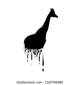 Vector silhouette of giraffe with drops on white background.