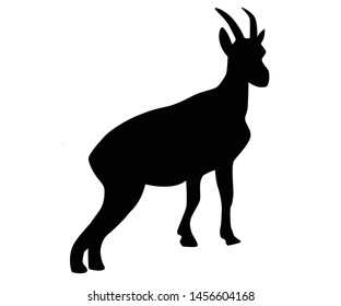 Vector silhouette of a goat