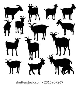 Vector silhouette of goat in different position