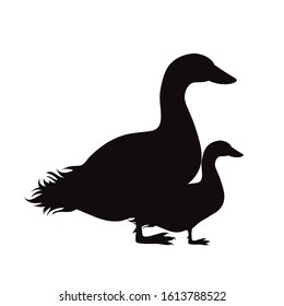 Vector silhouette of goose family on white background. Symbol of wild mother and baby stay together on the farm.
