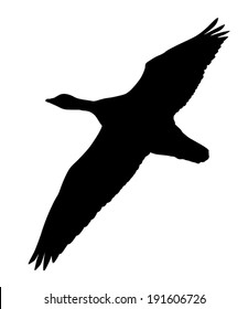 Vector silhouette of the goose in flight.