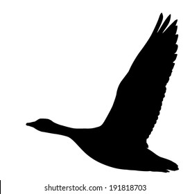 Vector silhouette of the goose in flight.