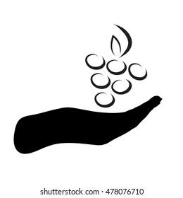 Vector silhouette of grapes on white background.