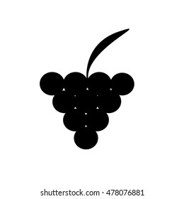 Vector silhouette of grapes on white background.